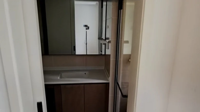 Green City · Phoenix Perches, Egrets Singing - View 12