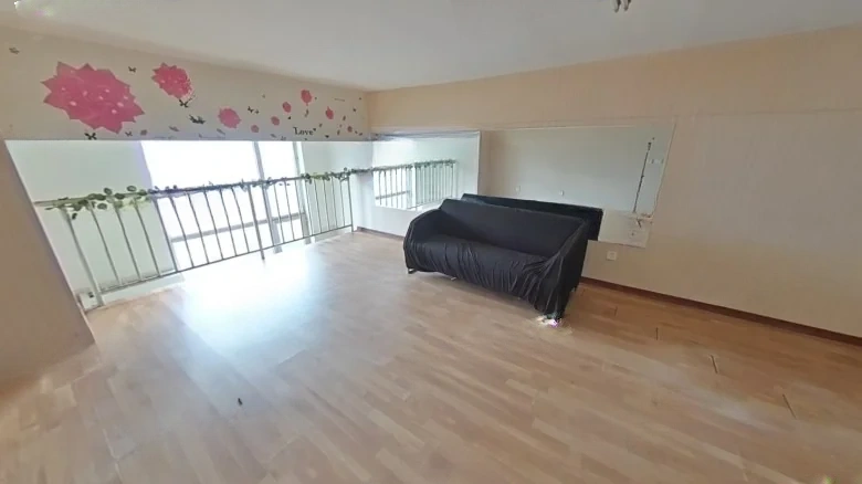 Red Star International - View 4