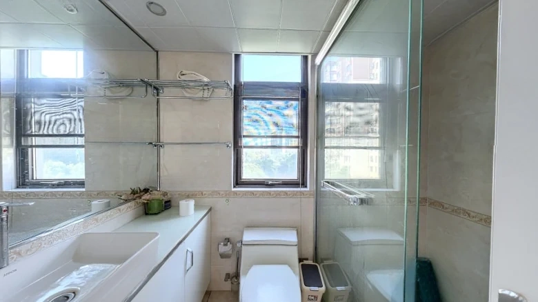 Shimao Junwang Villa - View 8