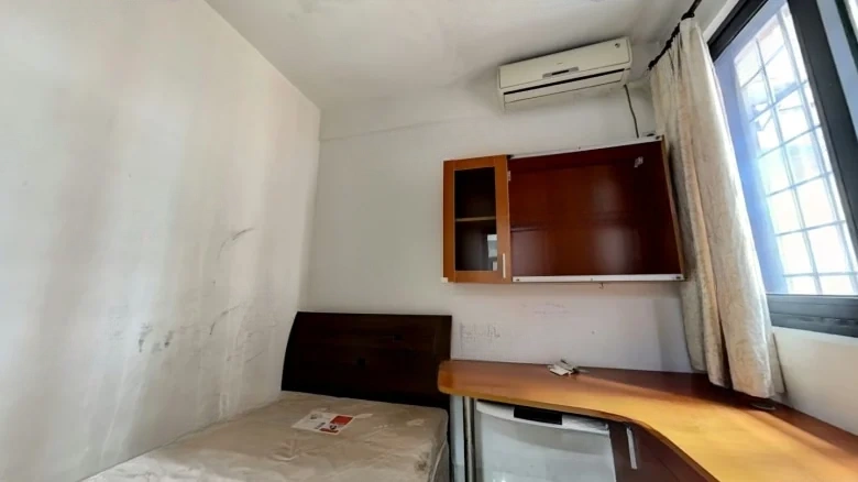 Palace Prosperity View - View 3