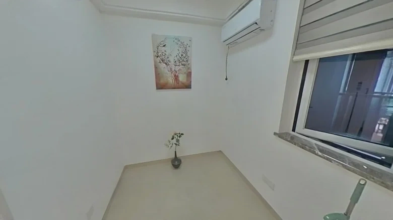 Dongbao Cui Xuan - View 3