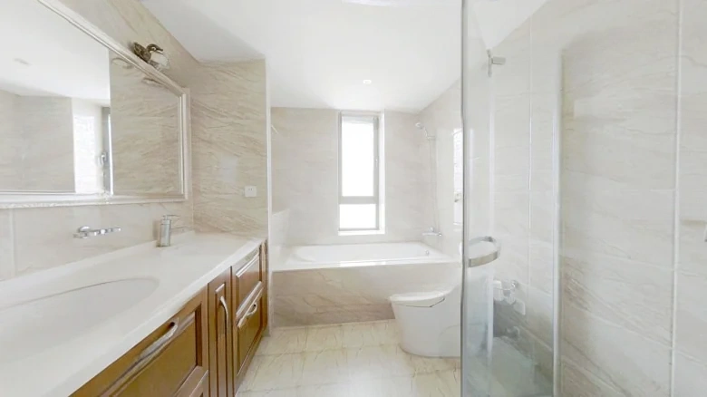 Shimao Xin Wuli River - View 8