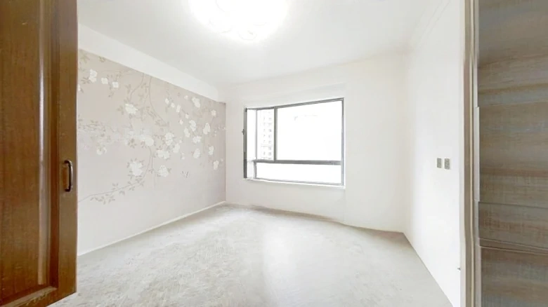 Shimao Xinqu Lihe - View 6