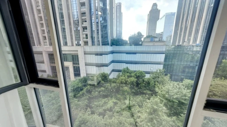 Swan Lake Garden - View 4