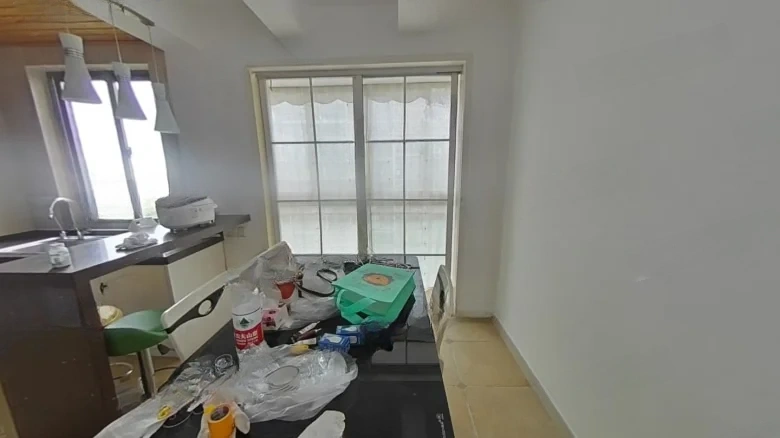 Dongfang Tianjun West District - View 6