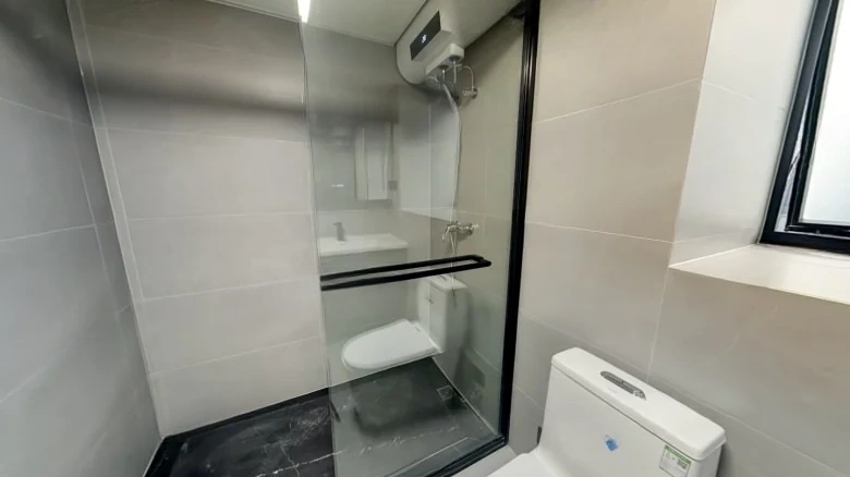 Dingfeng Lujiang 1号 - View 8