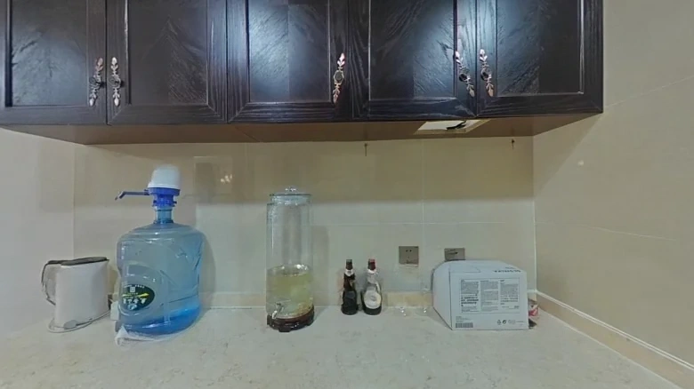 Green Land Zhongshan Mansion - View 8