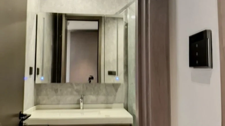 Rising Radiance · Platinum Yue Xiangjiang - View 10