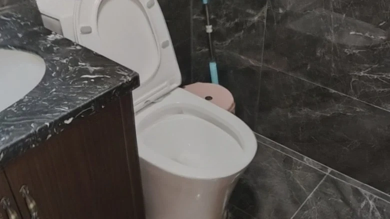 New City Garden - View 11