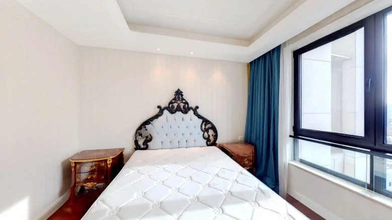 Xi Chen Original Manuscript - View 4