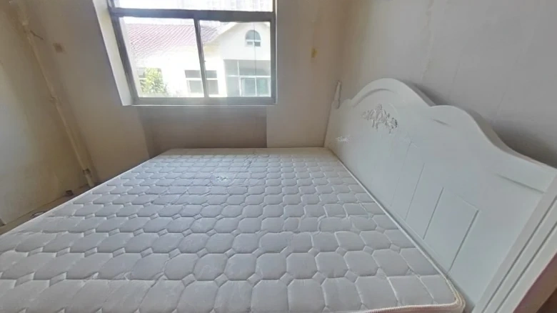 Peach Garden Villa South District - View 4