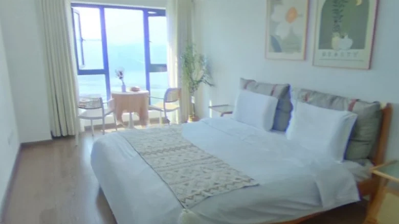 Binhai No. 1 - View 3