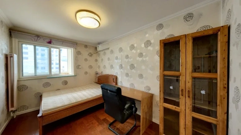 Wangyuan Dongli - View 4