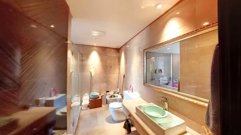 Prosperity Double Joy City - View 16