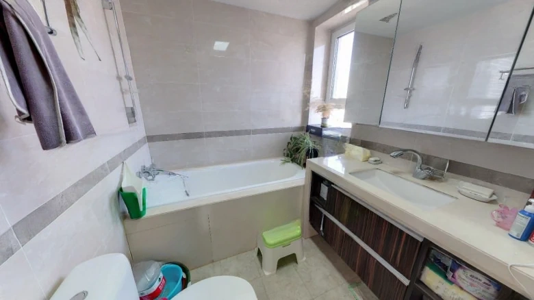 Vanke Spring River Li - View 8