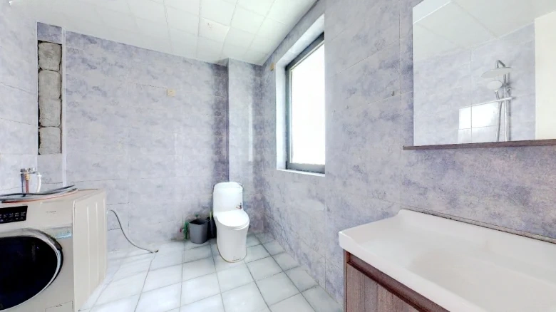 Poly Real Roland Sea Coast - View 15