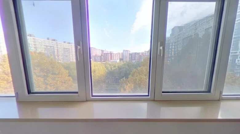 Hummbird Habitat - View 6