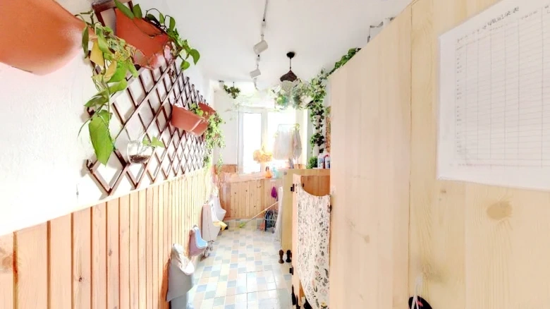 Green England郡 Since - View 12