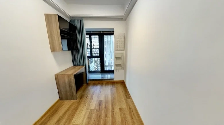 Dingfeng Lujiang 1号 - View 4