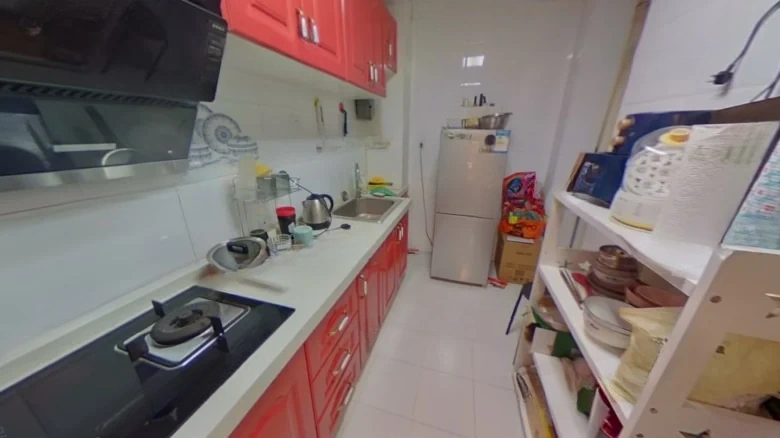 Golden Cicada South Grove - View 5