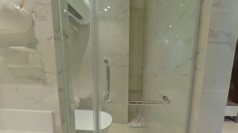 Rising Light Platinum Mansion - View 10