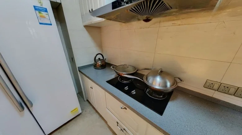 Green City Magnolia Apartments - View 6