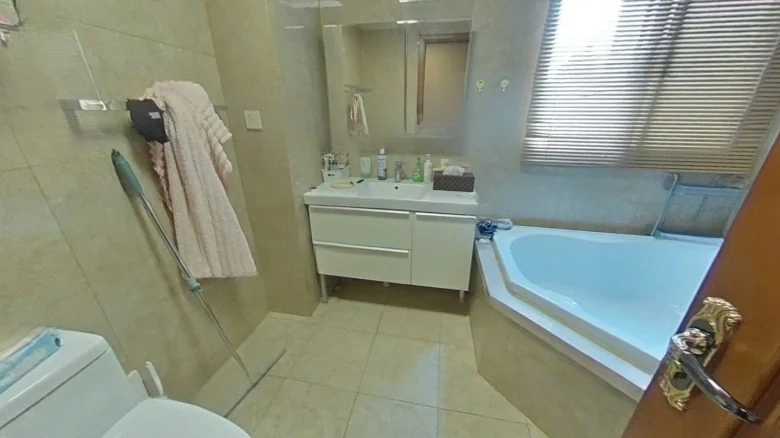 CITIC Forest Lake Camphor Garden - View 21