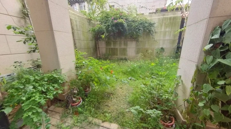 Wanke Lake Heart Island - View 17