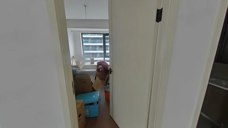 Green City · Phoenix Perches, Egrets Singing - View 5