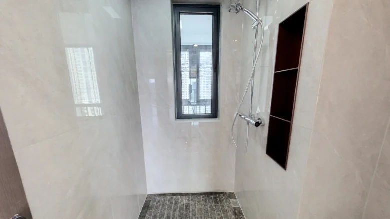 Shoreline Mansion 1913 - View 8