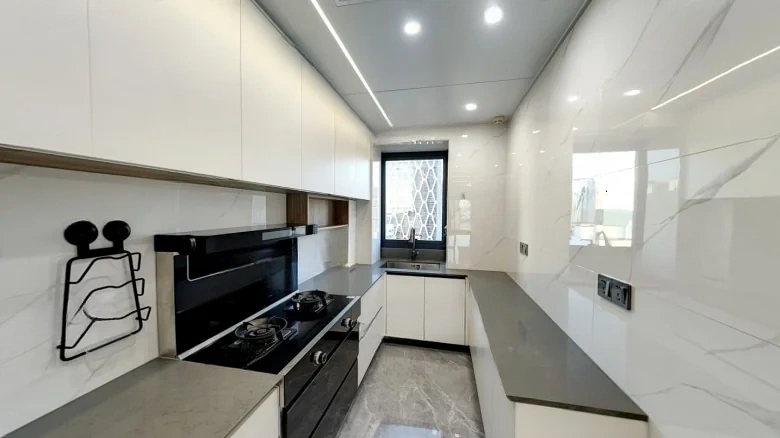 Dingfeng Lujiang 1号 - View 9