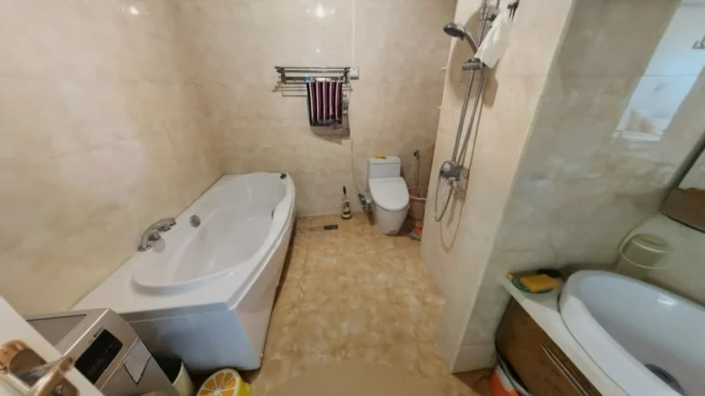 Forest International - View 7