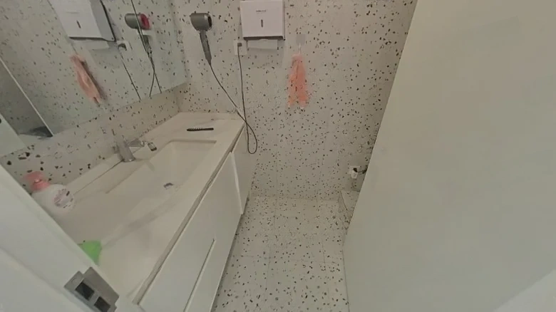 White Egret Eastern Garden - View 11