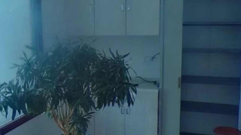 Peak Convergence Plaza - View 4