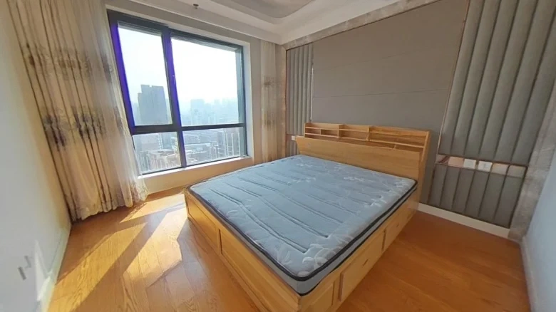 Zhongxin Fengyue City - View 3