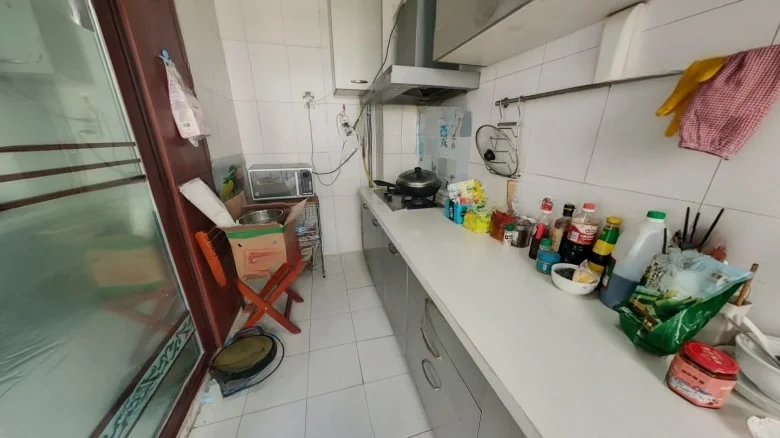 Li Shan Ming Jun - View 8