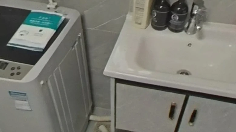 CR Development Wanjing Cloud Seal - View 5