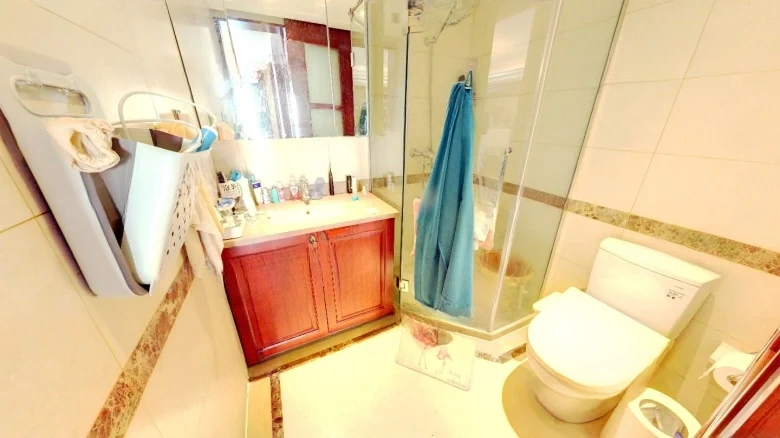 Vanke Platinum Elegance Garden - View 7