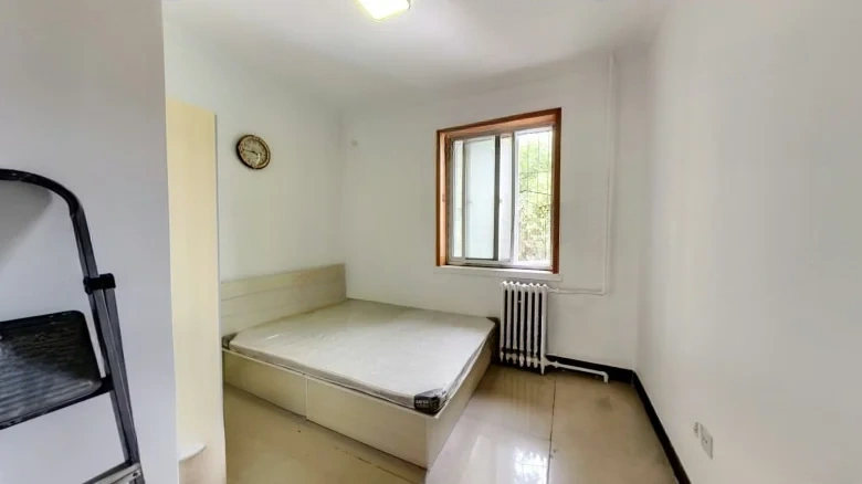 Zhi Chun Li - View 2