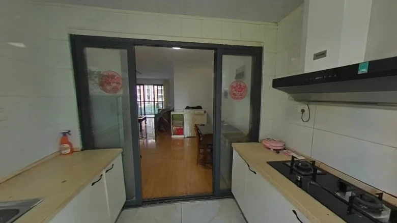 Phoenix HX Phase II - View 6