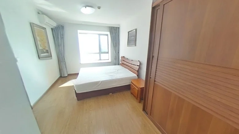 Shimao New Wulihe - View 4