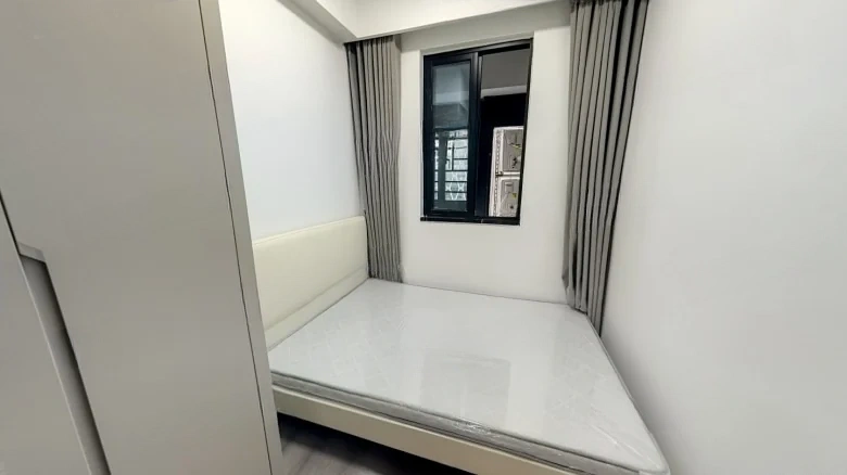 Dingfeng Lujiang 1号 - View 5