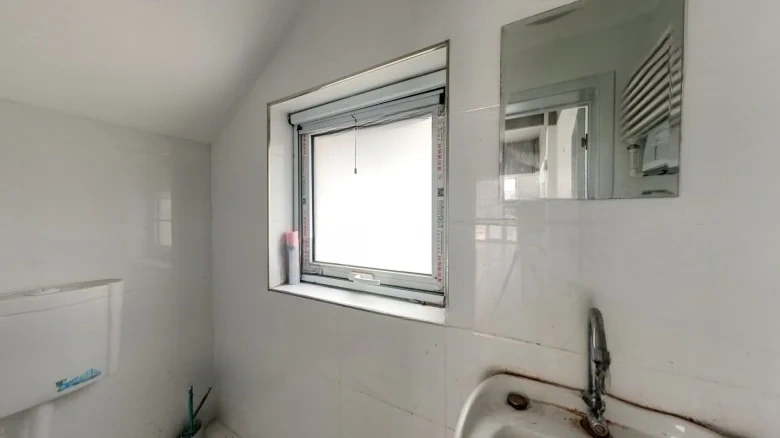 Lucy's Tai Shan No. 7 - View 6