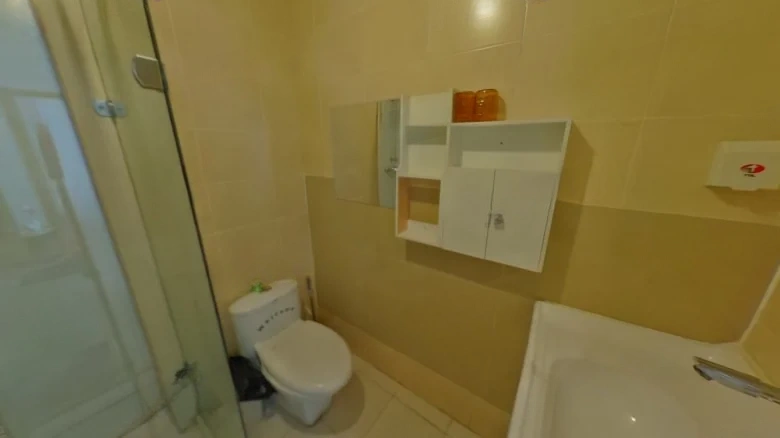 Tianxing Roosevelt - View 7