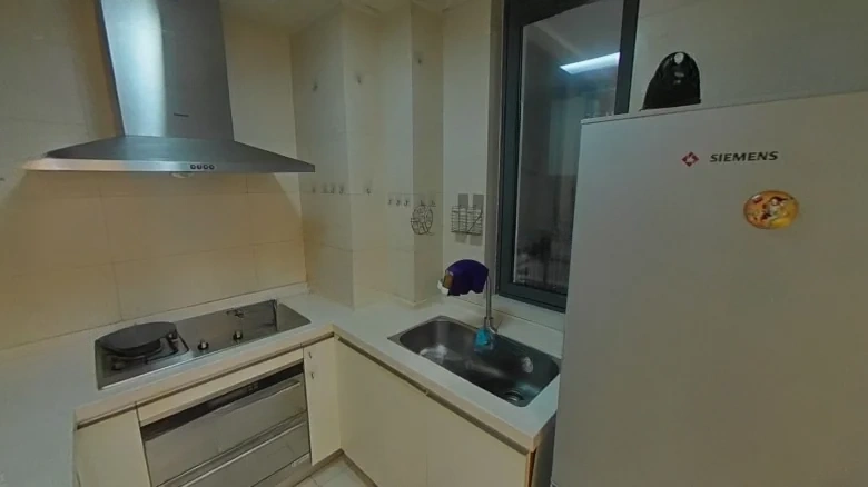 Zhonghai Star Lake International - View 8