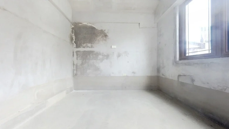 Phoenix Perches on the Parasol Tree - View 6