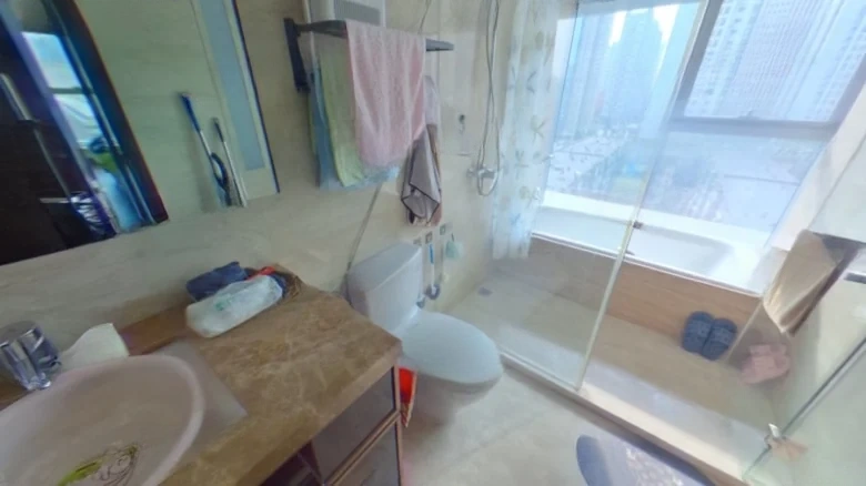 New World Minghui - View 6