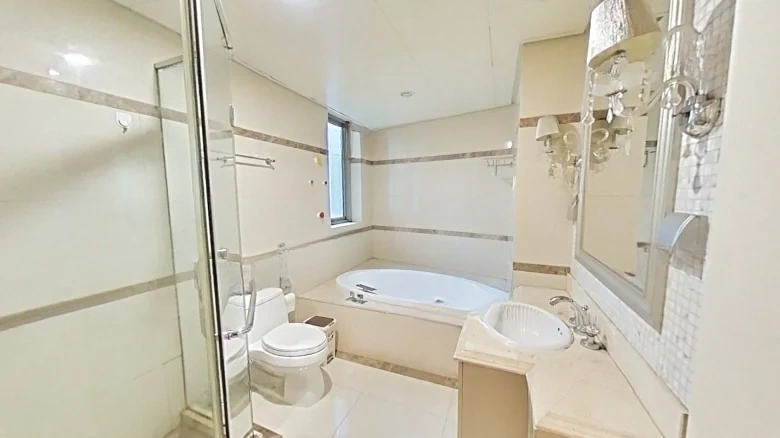 Shimao Binjiang New City - View 8