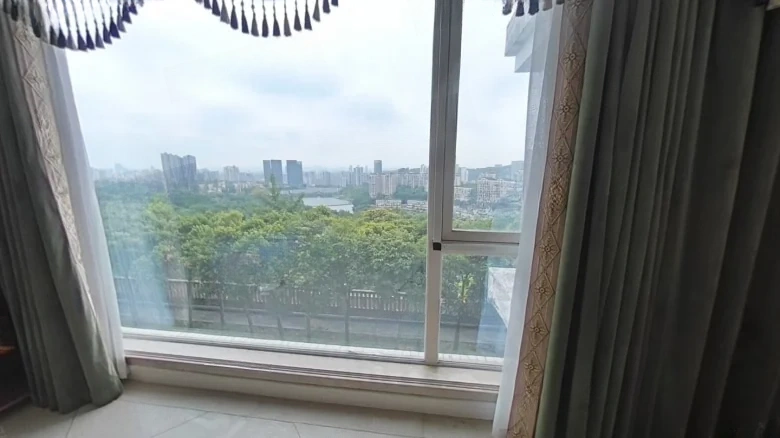 Brown Palm Spring Phase Three - View 13