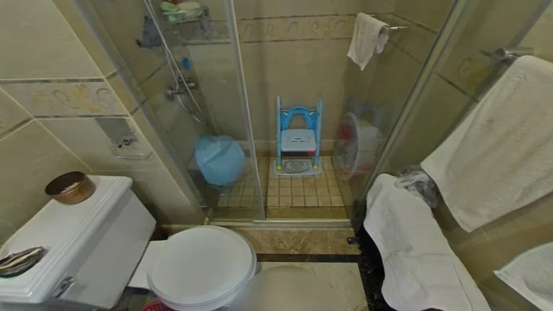 China Ocean Purple Imperial View Mansion - View 12